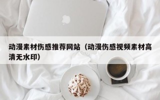 永新动漫素材伤感推荐网站（动漫伤感视频素材高清无水印）